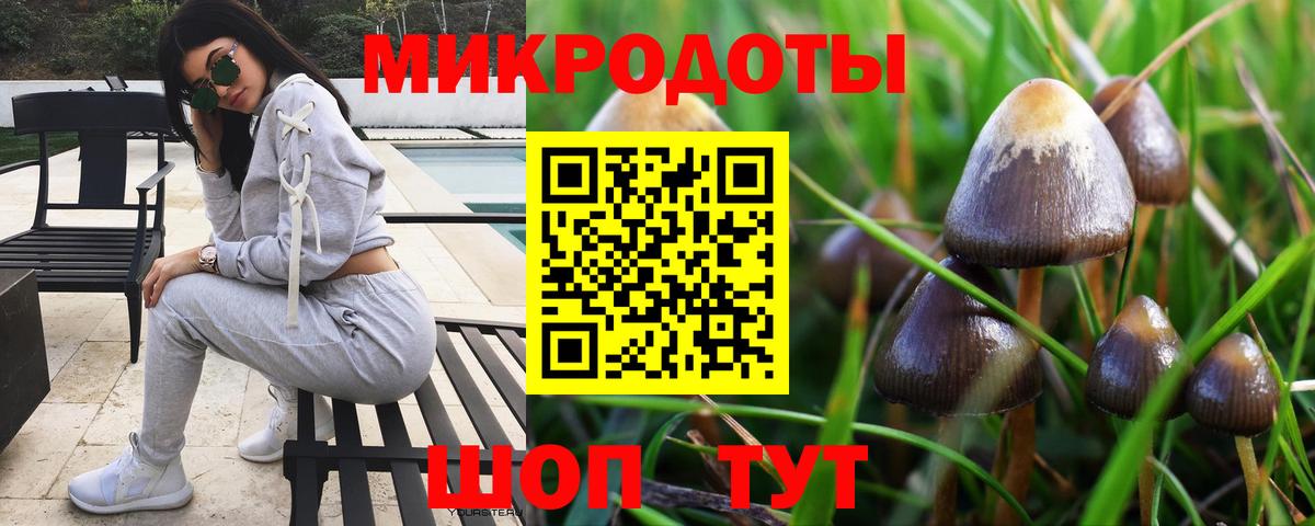 НБОМе Кунгур