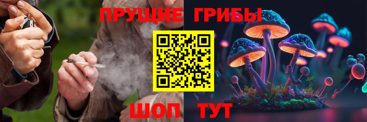 Галлюциногенные грибы GOLDEN TEACHER  наркота  Кунгур  Вход с VPN 